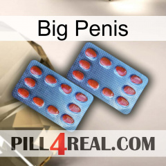 Big Penis 05